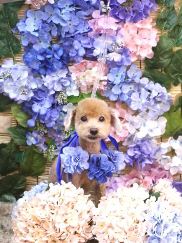 20250624そらちゃん